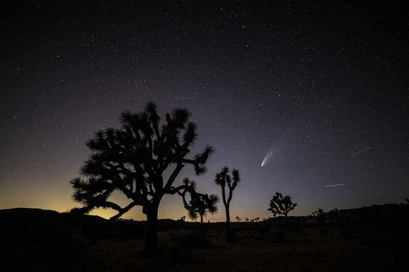 El cometa Neowise fue fotografiado desde el Joshua Tree National Park, California.