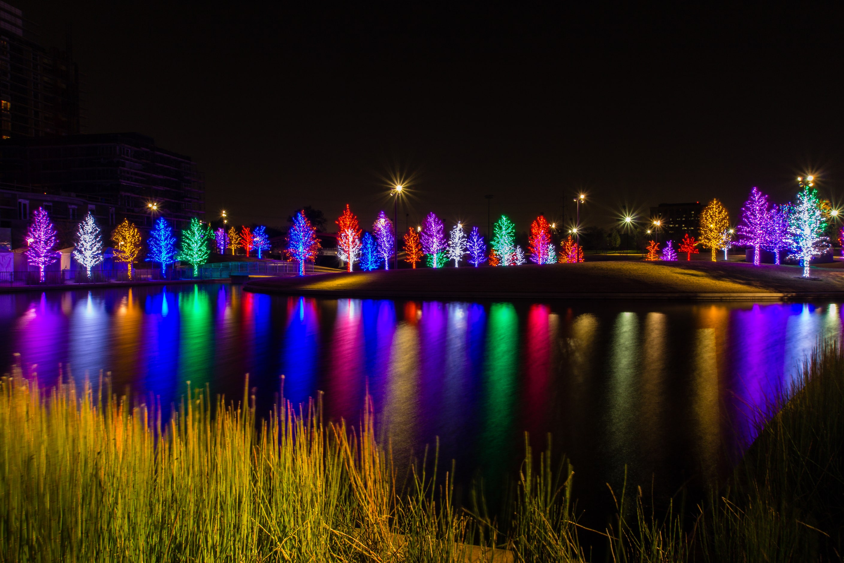 Multi-colored trees on display at Vitruvian Park in a photo by Bobby Lajoie.