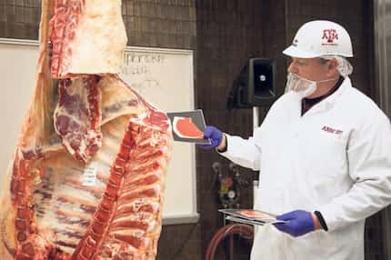 Oh, you're the queasy type? Camp Brisket isn't for you. At one of the sessions, Texas A&M's...