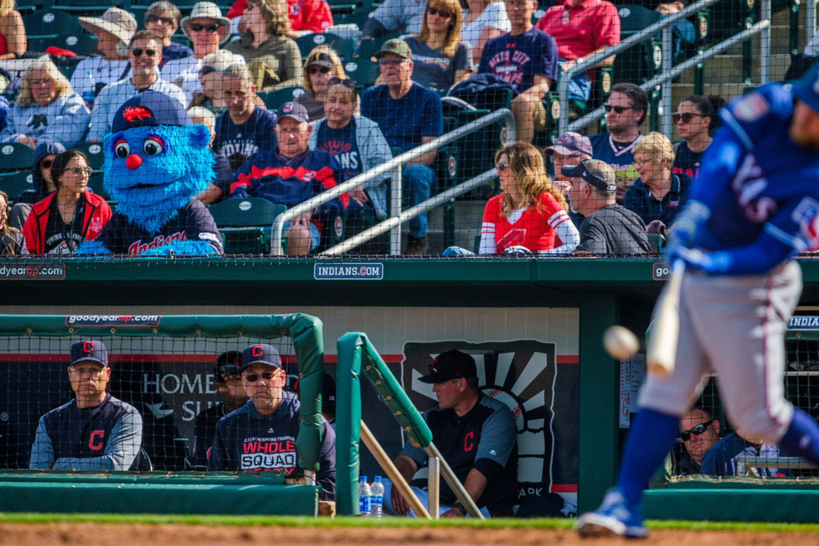 The Cleveland Indians mascot watches from the stands as Texas Rangers infielder Nolan...