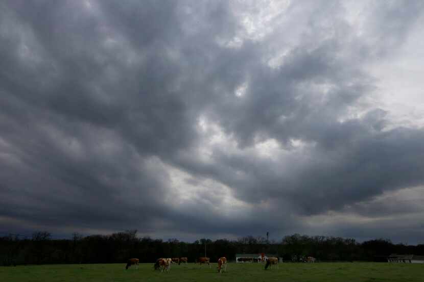 Dark clouds are seen above Lavon Farms in Plano, Texas, Saturday, March 11, 2017. (Jae S....
