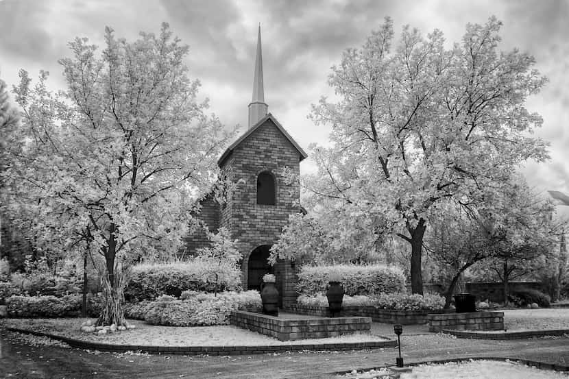 "This might be my Christmas card for this year" said Tony Morrison of her photo titled...