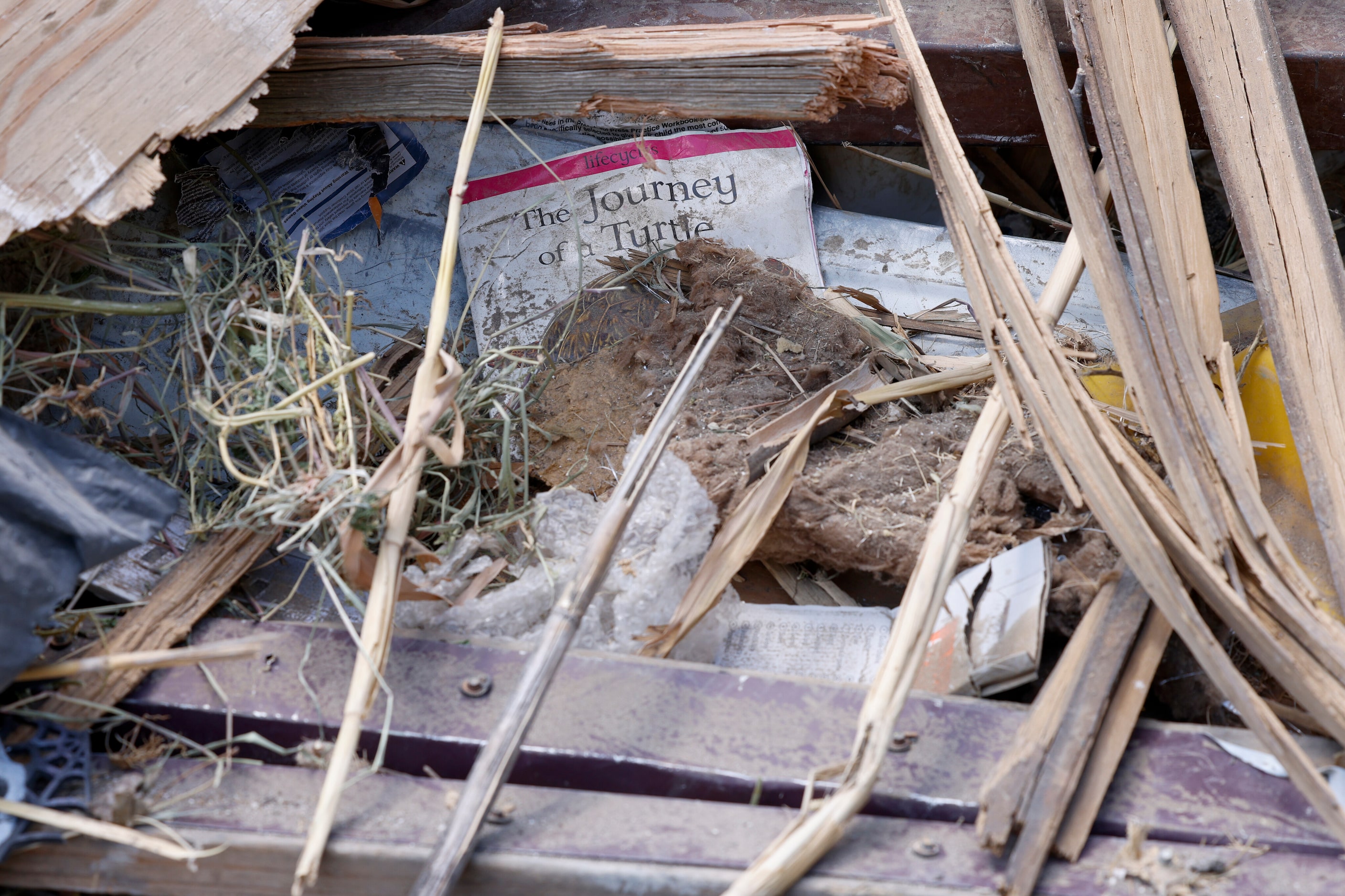 A book is seen amongst debris at a collection site in Cooke County, Texas, Monday, Aug. 26,...