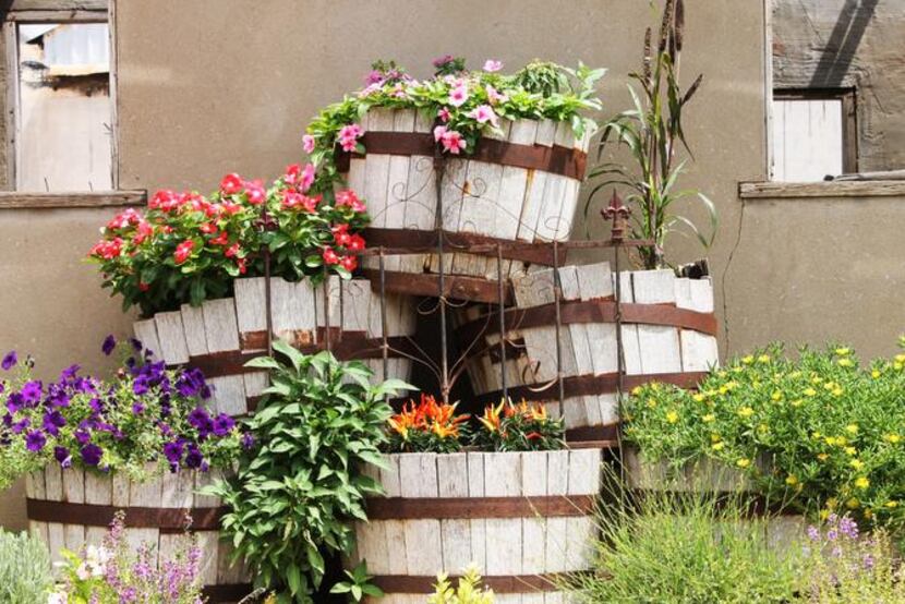 
Stacked whiskey barrels overflow with flowers in front of the Feed and Seed Barn.
