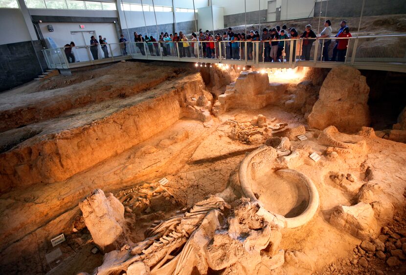 Fifth-graders from West Intermediate School in West tour the Waco Mammoth Site.