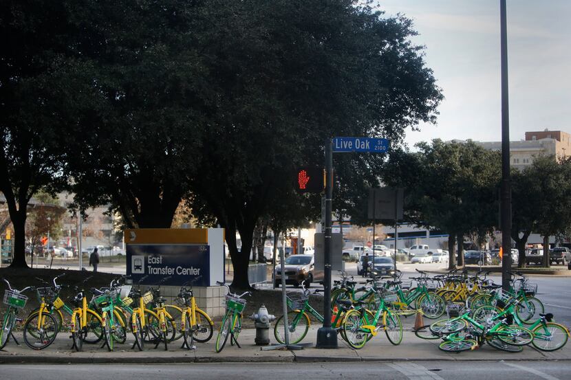 Thirty rental bikes are propped and piled on the corner of Live Oak and Olive Streets in...