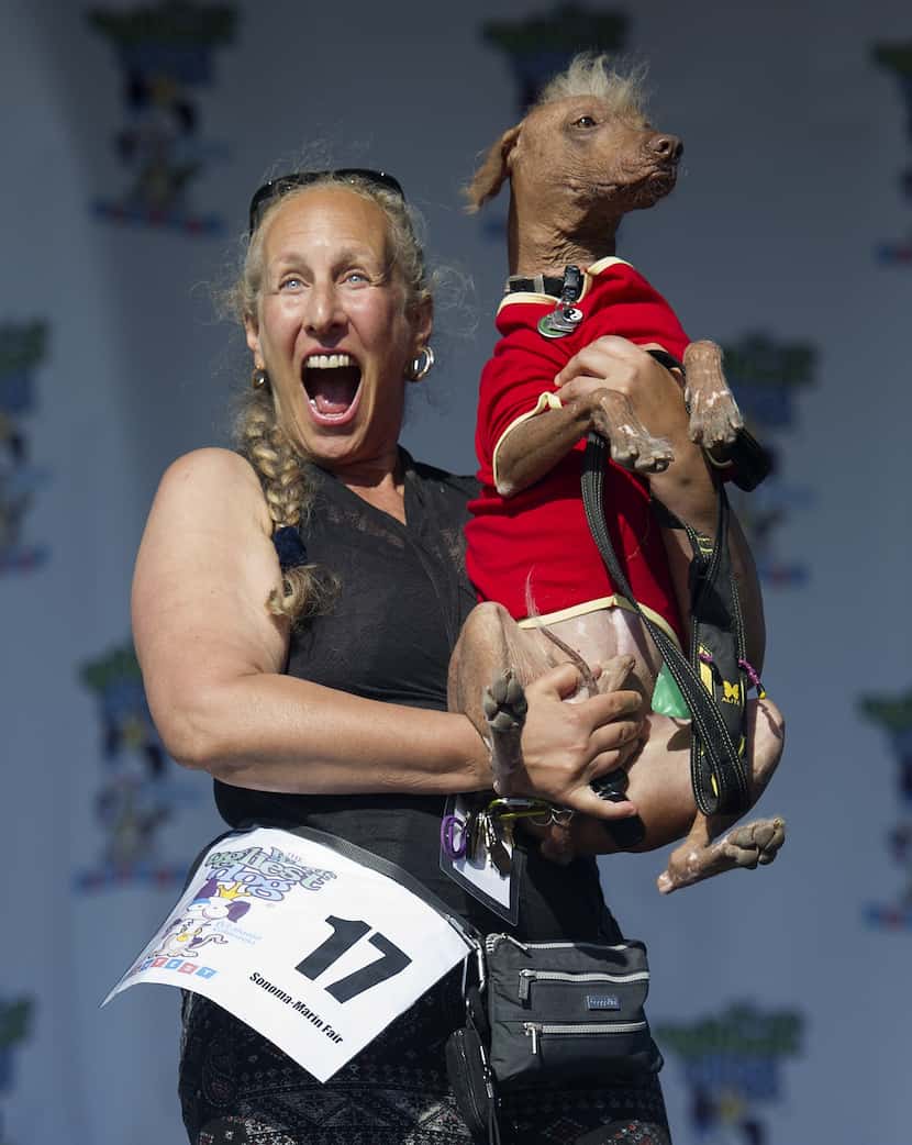 Rona Thau holds up Morris during the World's Ugliest Dog Competition in Petaluma, California...