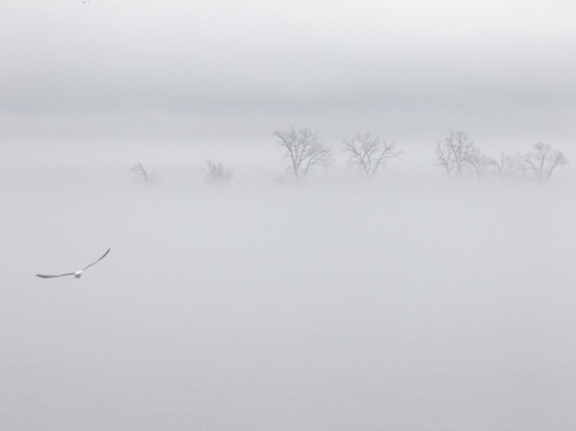 Fog hung heavily over Lake Ray Hubbard, where an accident shut down I-30 for several hours,...