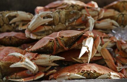 Imported Dungeness crabs are displayed for sale in San Francisco.