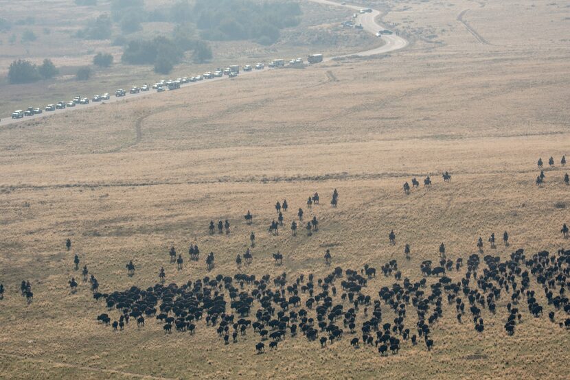 If you don't want to ride horseback, you can participate by driving in trucks and watching...