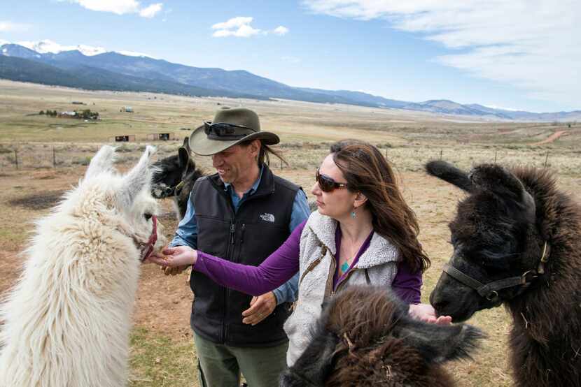 Wild Earth Llama Adventures in Taos 