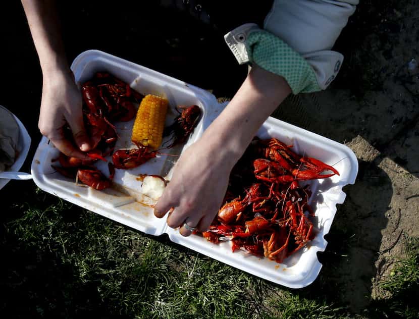 Jennifer Webb digs into a serving of crawfish at the 4th Annual Mudbug Bash in Main Street...
