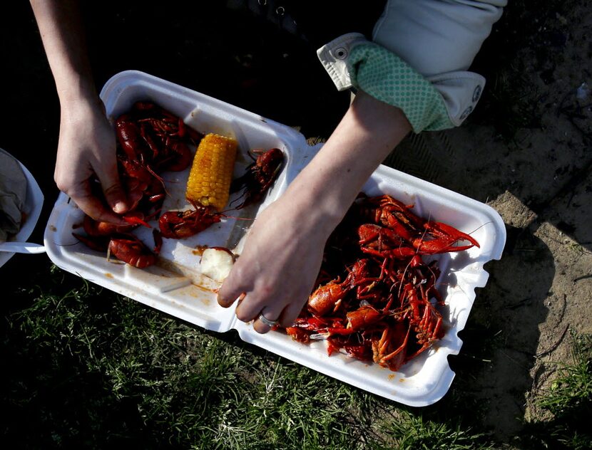 Jennifer Webb digs into a serving of crawfish at the 4th Annual Mudbug Bash in Main Street...