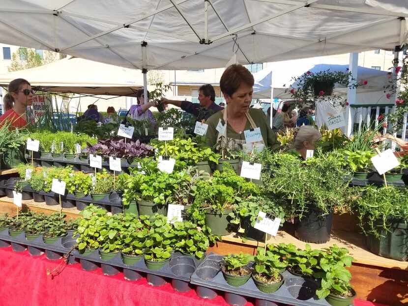 A merchant sells herbs and greens at the Covington Farmers Market in Covington, La. The...