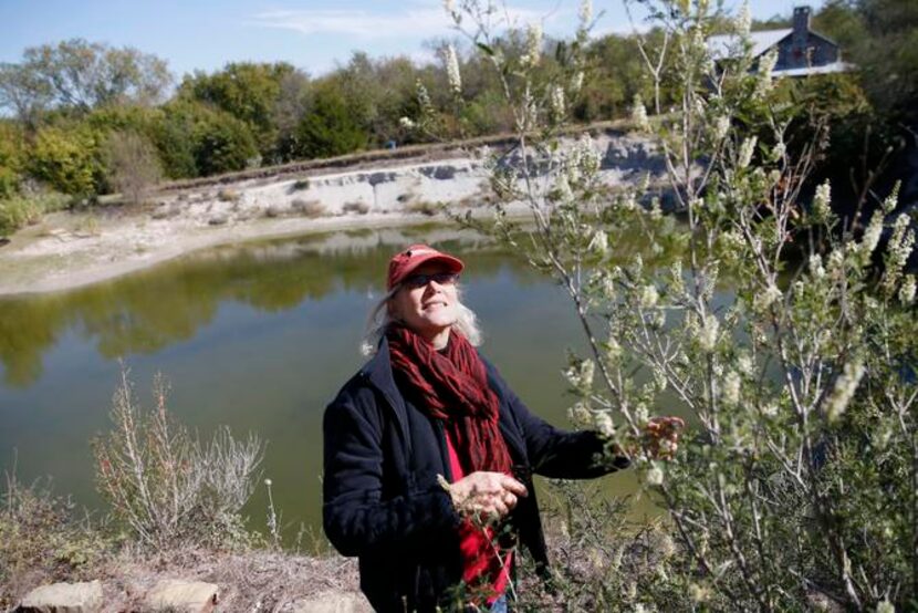 
Cynthia Alexander, owner of Quarry Flower Farm in Celina, regularly harvests useful...