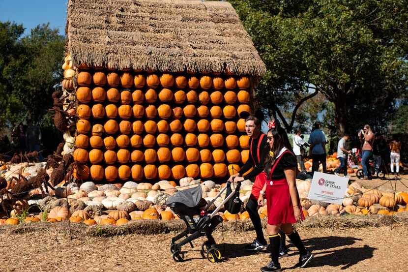 From left, Justin Purdy and Samantha Ferguson walk around a pumpkin house during Halloween...