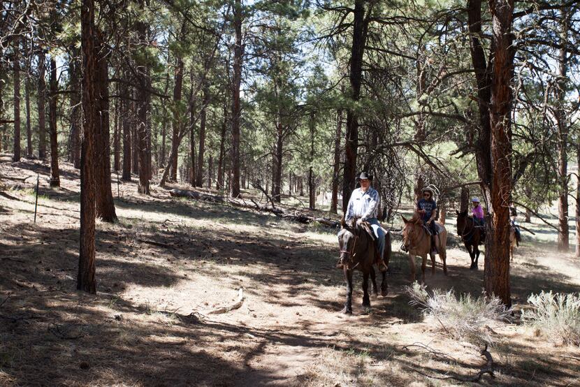 Horseback riding at Angel Fire resort in Taos