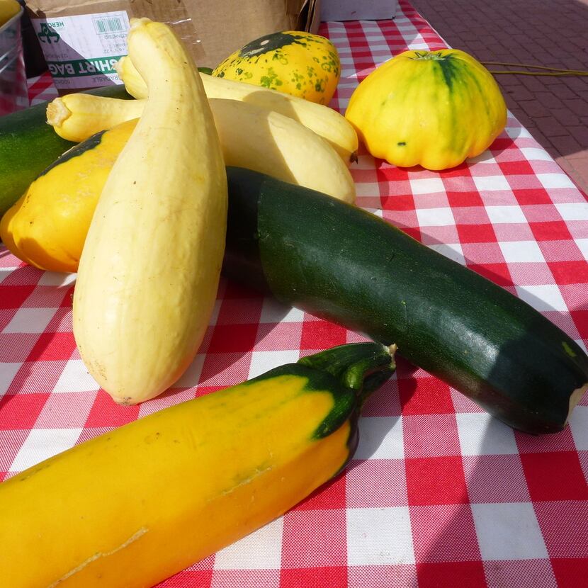 Seasonal squash, including zucchini, yellow zucchini, sunburst and yellow straight-neck, is...