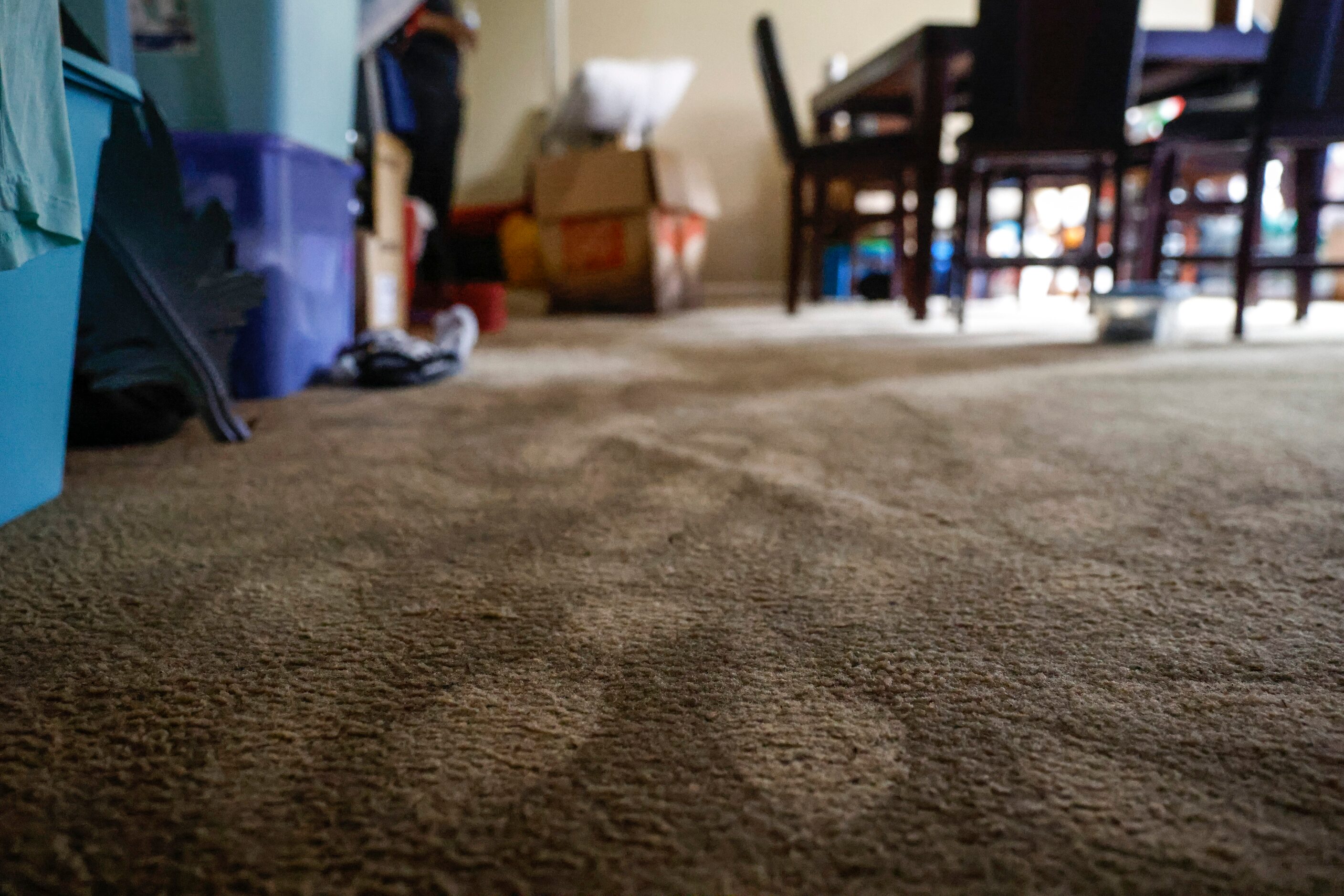 Soaked carpet at Michael and Latanya Benefield’s apartment in Spring Oaks Apartments in...