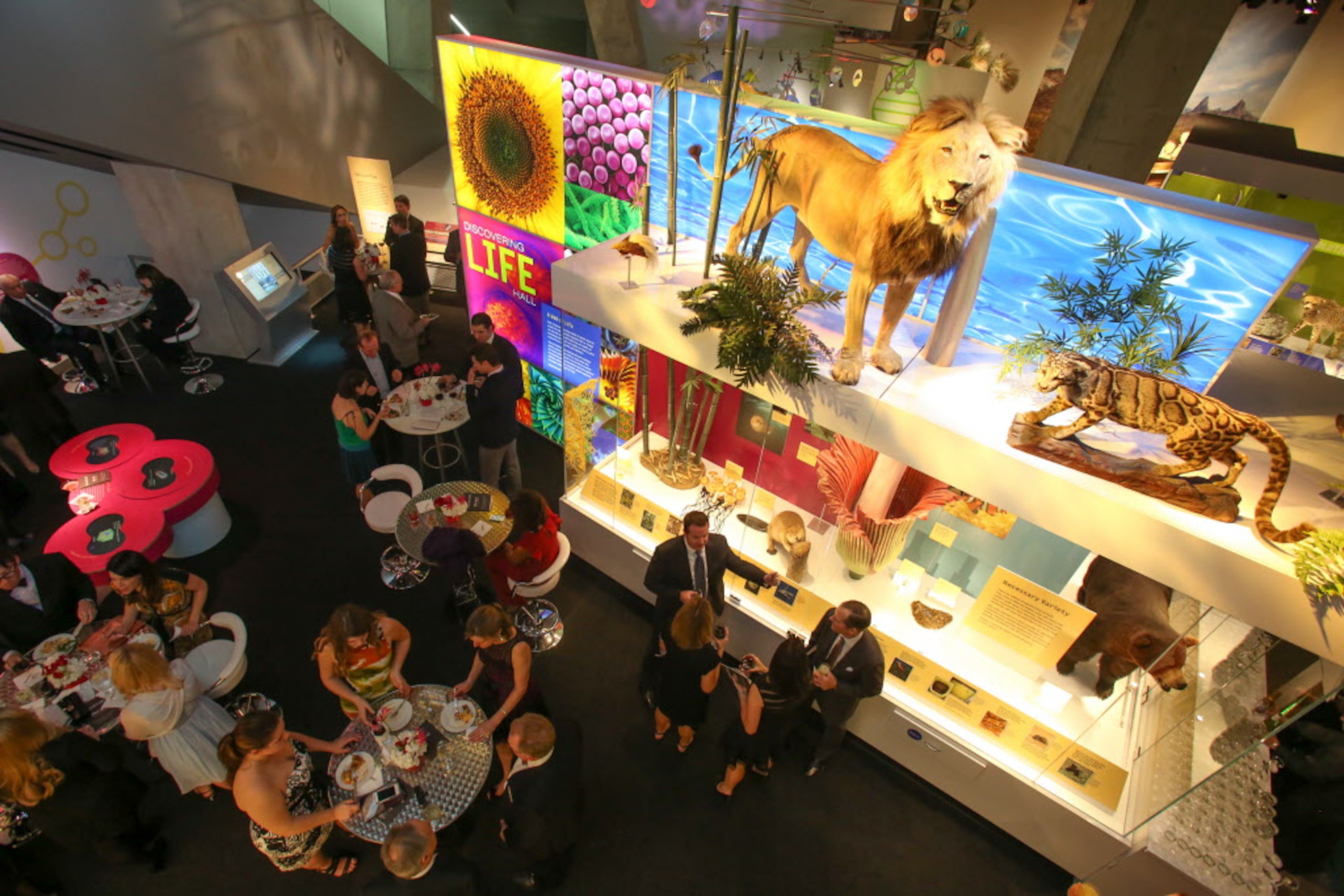 The Night at the Museum 2012 opening party for the Perot Museum of Nature and Science in...