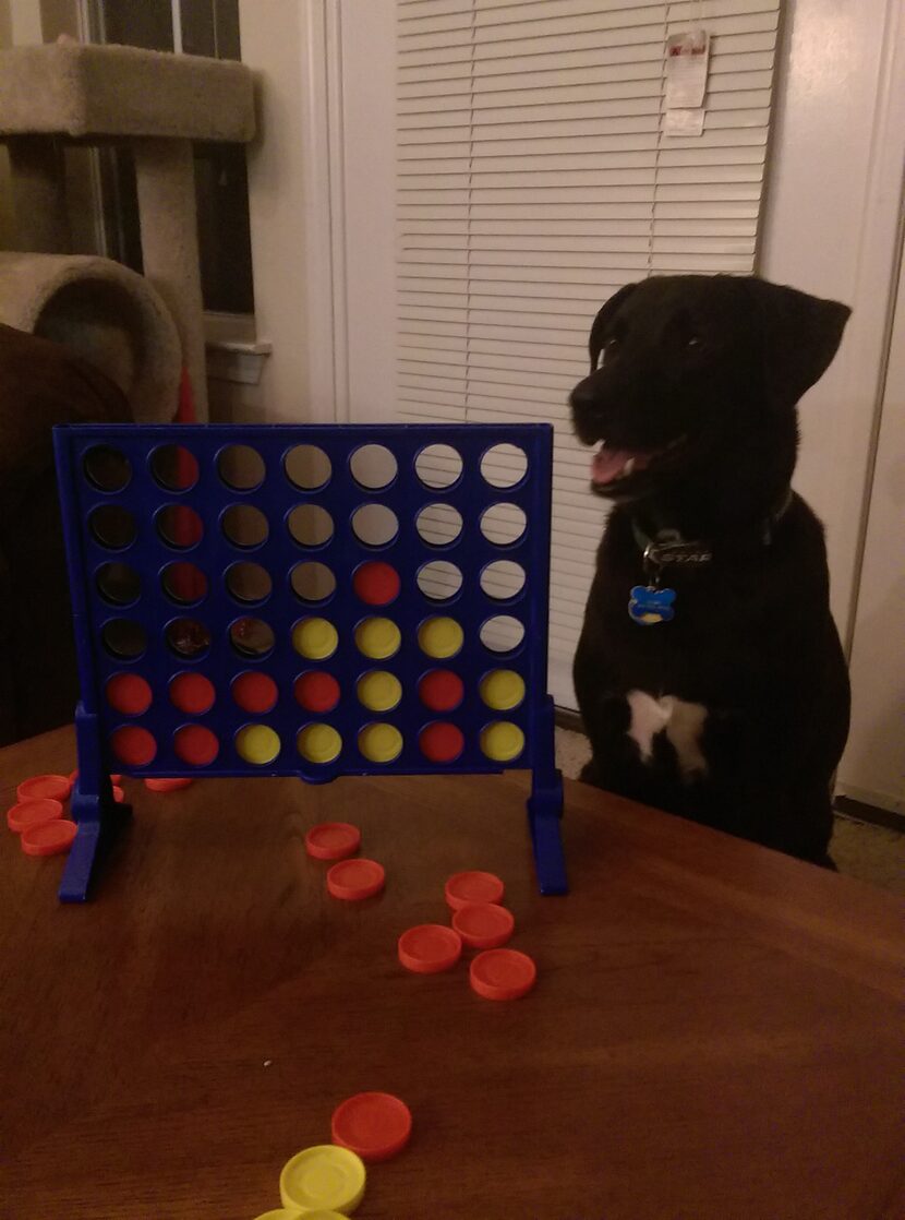 Once, Cosmo beat Neighborsgo Design/Content Editor Kyle Brynsvold at Connect Four.