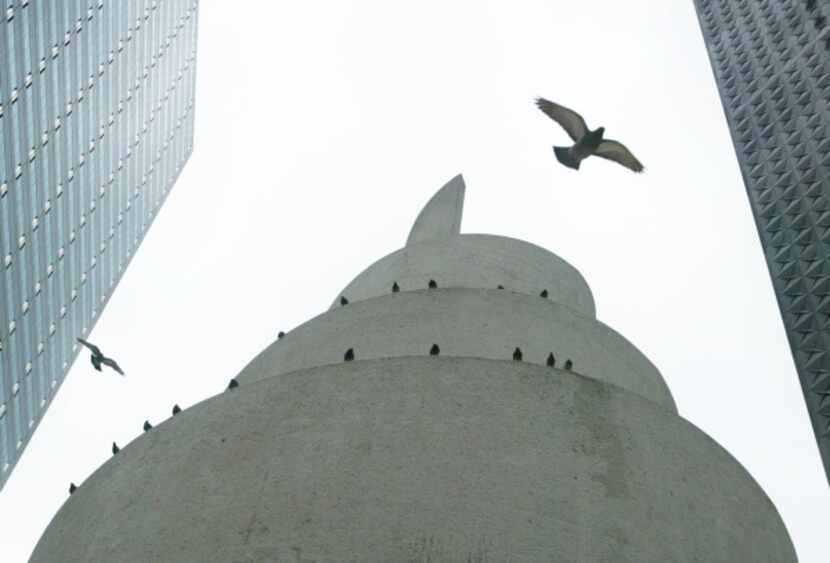 Pigeons find a haven for roost outside architect Philip Johnson's chapel at Thanks-Giving...