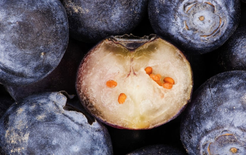 Blueberries, cut open. From "The Photography of Modernist Cuisine," by Nathan Myhrvold