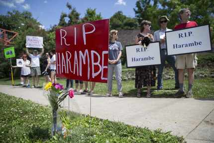  Animal rights activists and mourners gather for a Memorial Day vigil outside the Cincinnati...