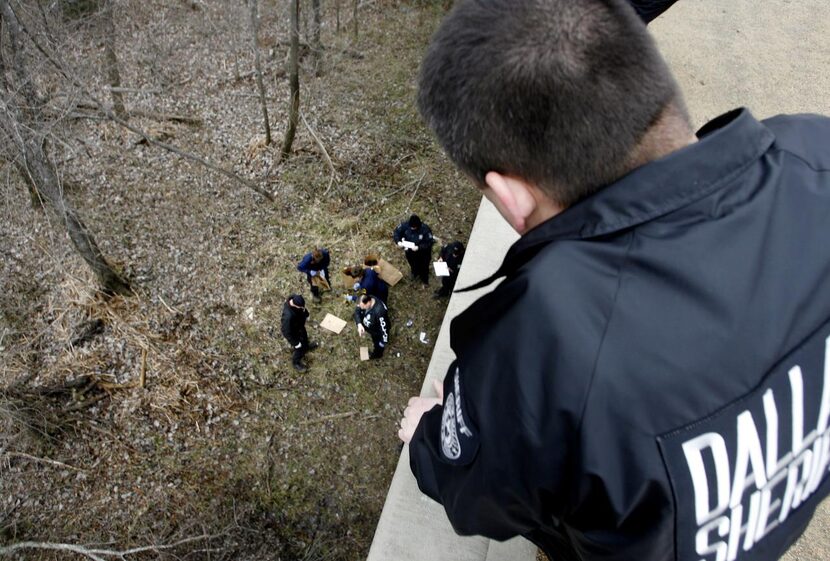 A Dallas County sheriff’s deputy  watched a forensics team collect evidence where the bodies...