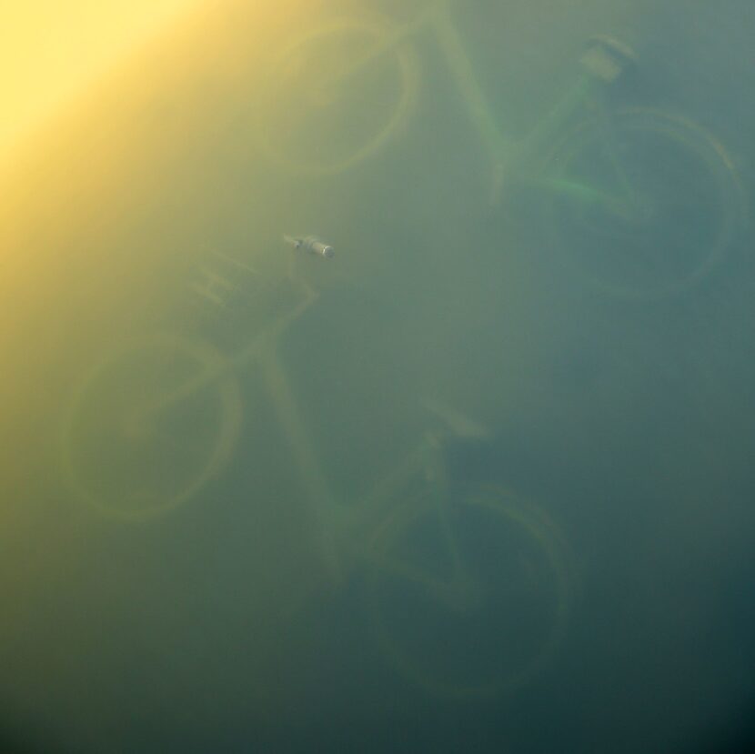 Two LimeBike rental bikes are submerged in White Rock Lake in Dallas on Friday, Jan. 5, 2018.