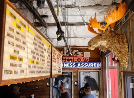The beer-can-covered moose is new to Truck Yard in Dallas. The backyard bar reopened March...