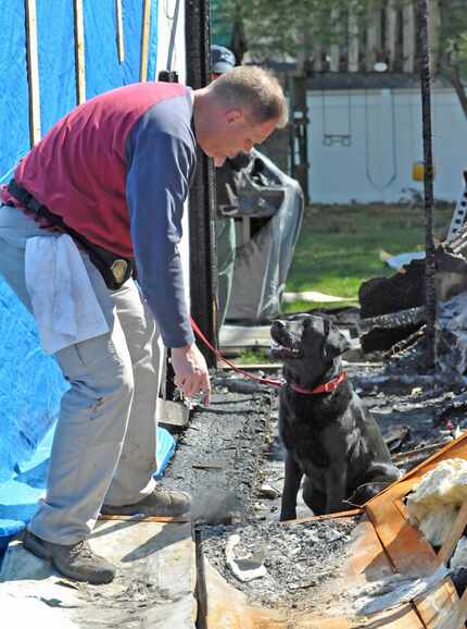  Flower Mound fire prevention Officer Jason Bolejack and accelerant-detecting dog Ziva....