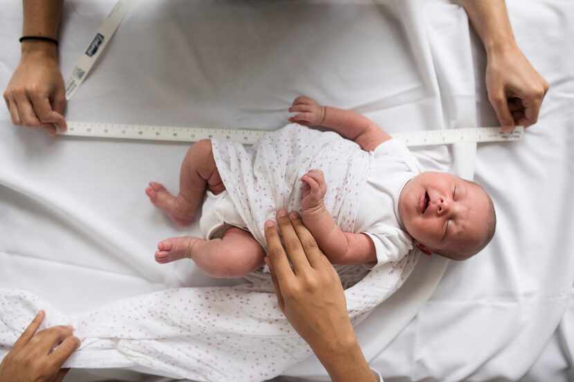  A 2-week-old is measured at the University of North Carolina's Biomedical Research Imaging...