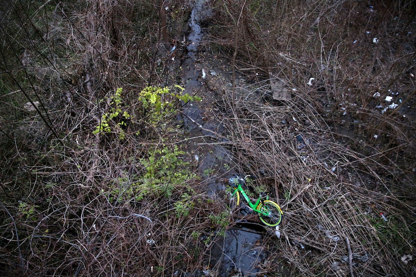 A LimeBike rental bike is left in a marshy area under a bridge near White Rock Lake in...