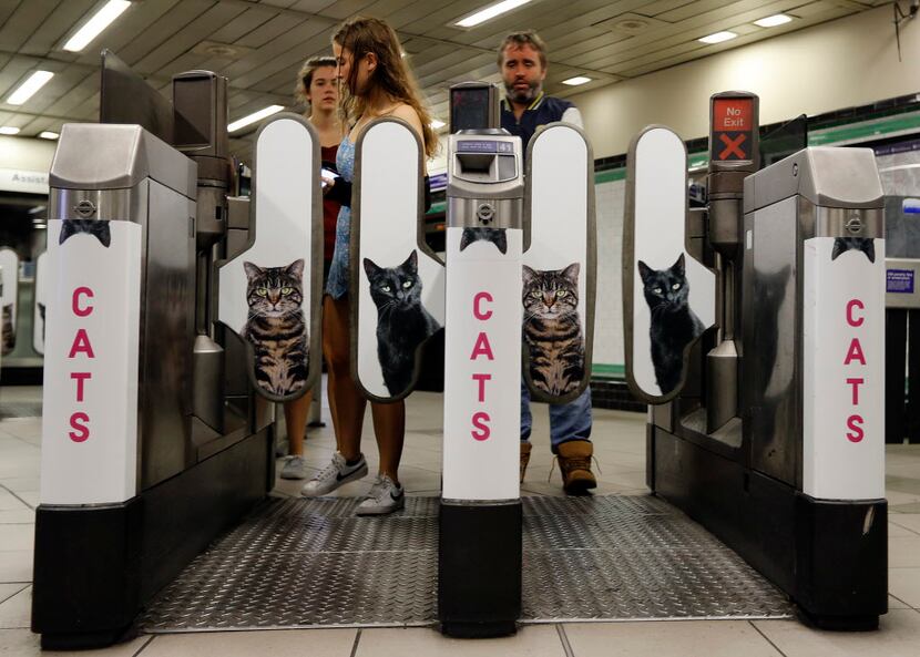 There was a cat around every corner at the London Underground station, courtesy of two...