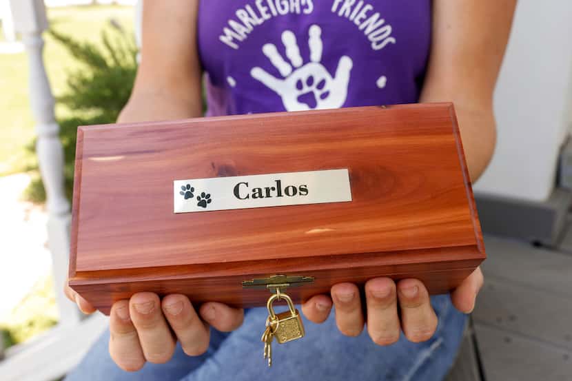 Jennifer Lewis, owner of Marleigh's Friends, holds a box with the cremated remains of...