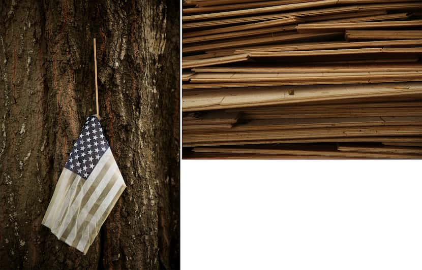 Surrounded by dumped debris, an American flag hangs from a tree's crevice in the Meyerland...