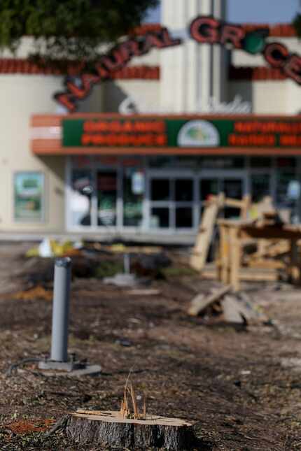 The trees were removed Monday at Casa Linda Plaza, billed as the third-oldest shopping...