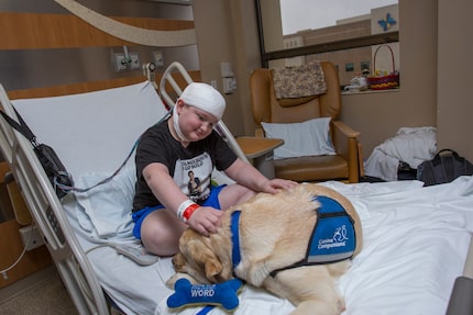 A service dog comforts a young patient in a hospital bed.