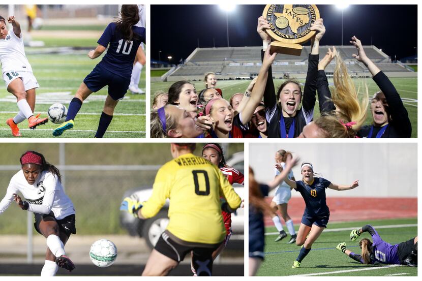 Members of the 2017 All-Area girls soccer team