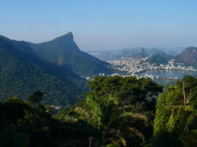 
The Tijuca National Park sprawls across large parts of Rio de Janeiro. A hike to the summit...