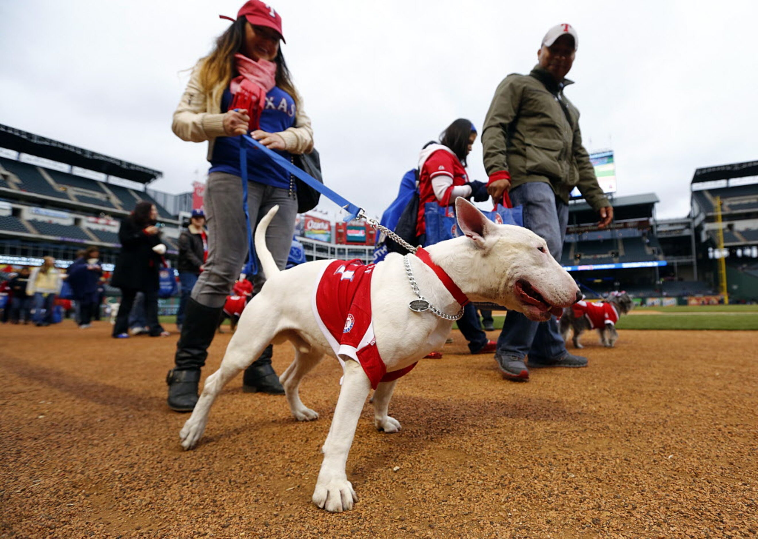 Dogs parade around the field at Rangers Ballpark in Arlington field during the eighth annual...