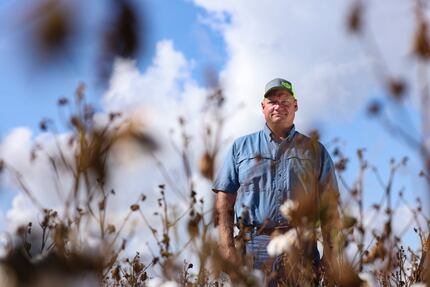 Texas cotton former Brian Adamek expects his farm's yield to be down by 75% this year.