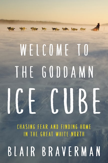 Welcome to the Goddamn Ice Cube, by Blair Braverman