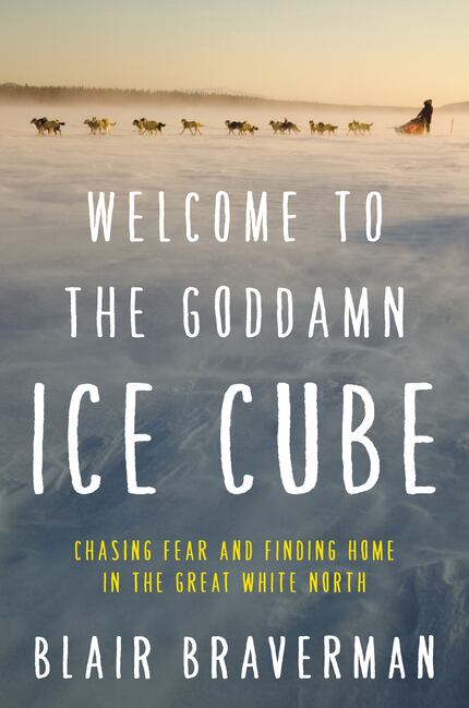 Welcome to the Goddamn Ice Cube, by Blair Braverman