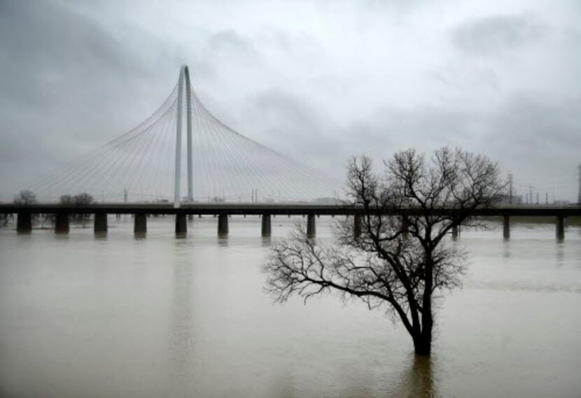 Así luce el río Trinity luego de varios días consecutivos de lluvia. TOM FOX/DMN