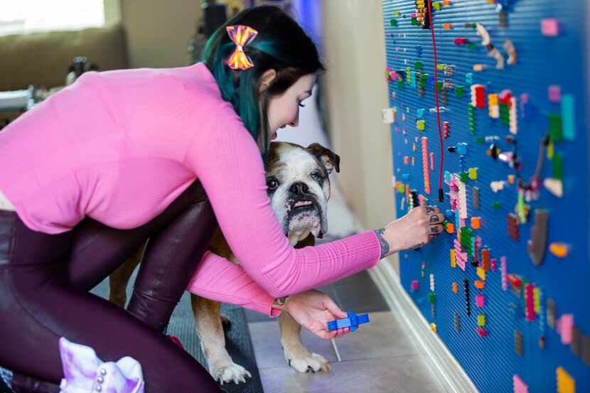 Amie Dansby and her dog, Indy, make some changes to Dansby's interactive Lego wall.