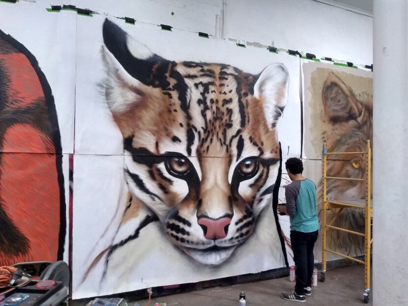 An ocelot is featured on a new mural in El Paso depicting endangered borderland wildlife....