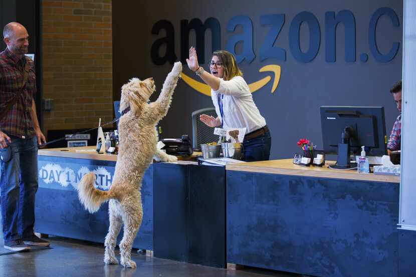 Chris Clare and his dog, Crosby, greet receptionist Andrea Kraus on Amazon's pet-friendly...