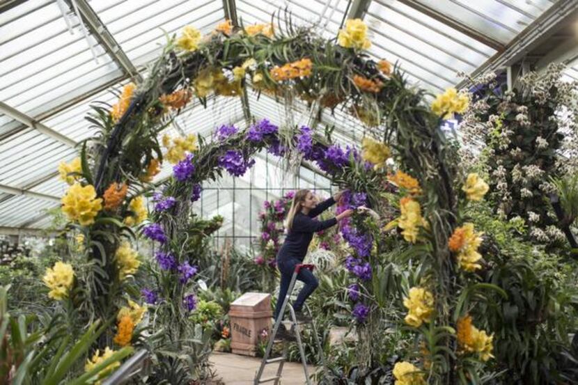 
Breathtaking displays can thrive inside the Princess of Wales Conservatory, where it’s...